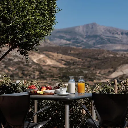 公寓式酒店 Halcyon And Naxos Agios Thaleleos