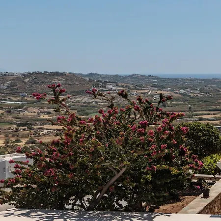 Halcyon Suites And Villas Naxos Aparthotel Agios Thaleleos