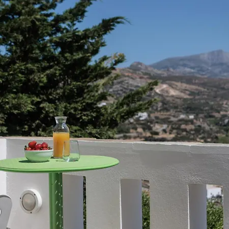 Halcyon And Naxos 公寓式酒店 Agios Thaleleos