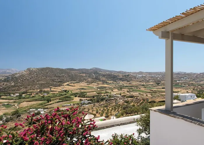 Apart Otel Halcyon And Naxos Agios Thaleleos