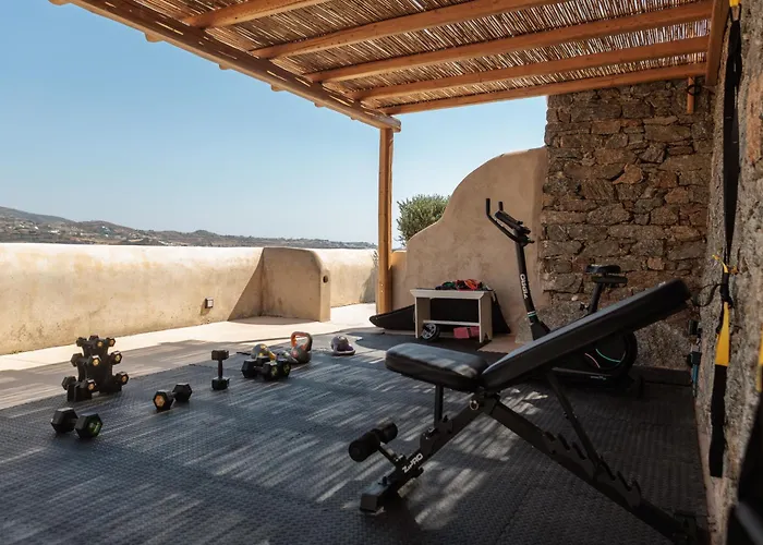 Апарт-отель Halcyon Suites And Villas Naxos 4*